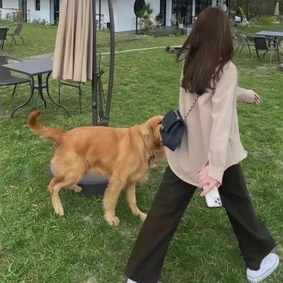你不是她粤语